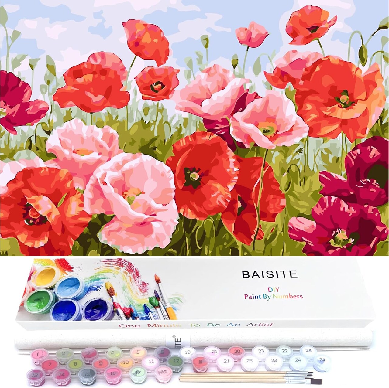 Paint by Numbers Kit for Adults Beginners,20" Wx16 L Canvas for Painting Kits for Adults in Colorful Box Poppy Flowers-BSC001